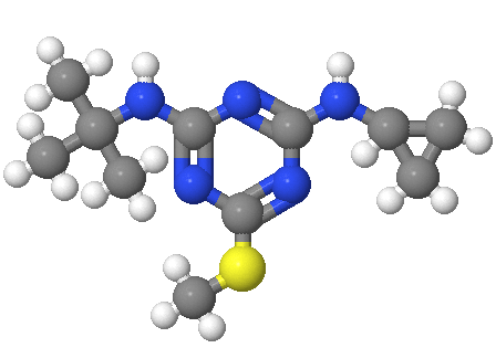 2-叔丁氨基-4-环丙氨基-6-甲硫基-s-三嗪,Irgarol