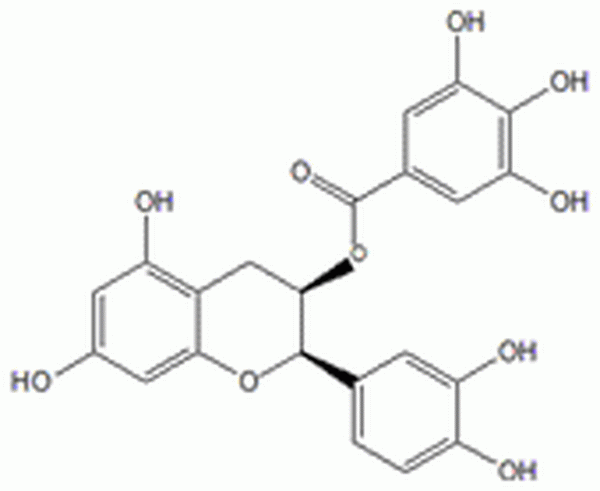 表儿茶素没食子酸酯,(?)-Epicatechin gallate