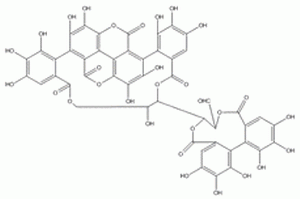 安石榴甙,Punicalagin