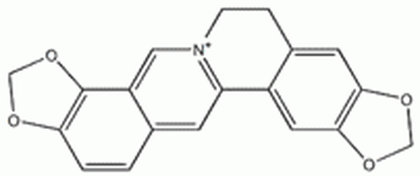 黄连碱,Coptisine chloride