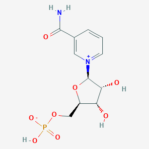 烟酰胺单核苷酸,Nicotinamide Mononucleotide