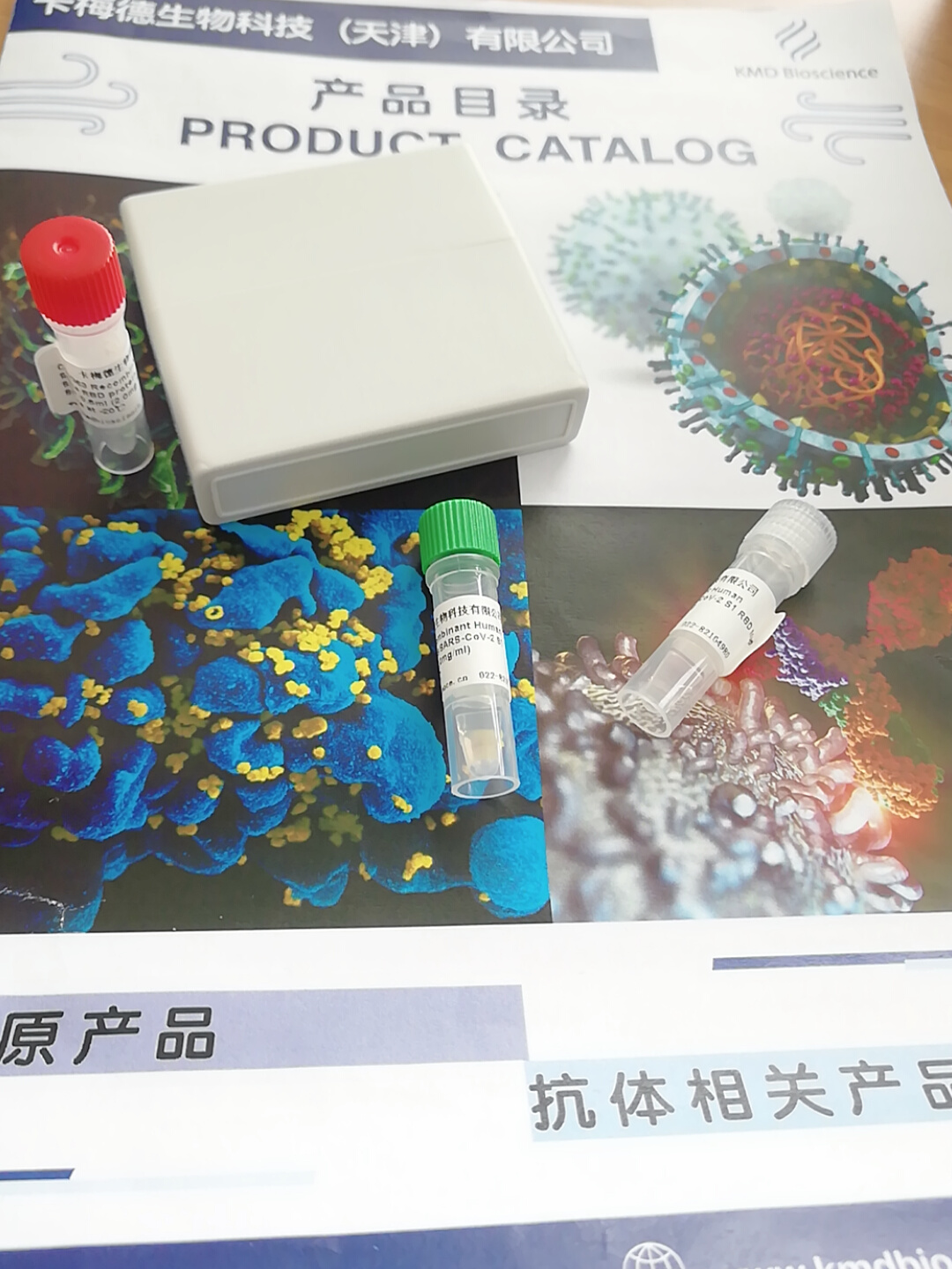 灭活甲型肝炎病毒抗原,Inactivated Hepatitis A Virus Ag