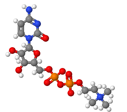 脑二磷胆碱,CYTIDINE 5'-DIPHOSPHOCHOLINE