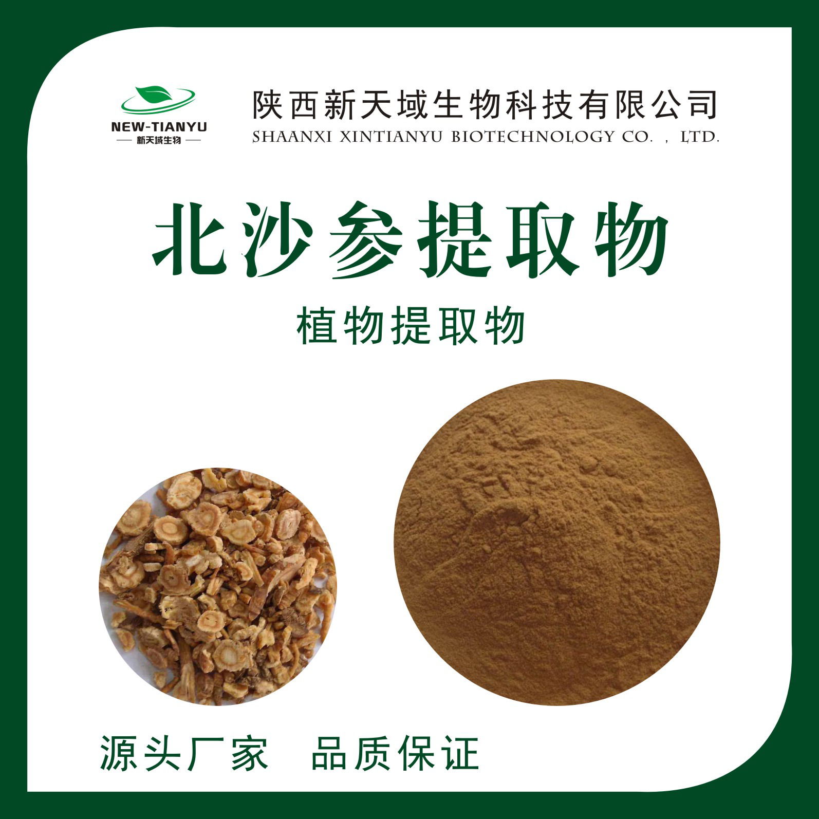 北沙参提取物,Glehniae Radix