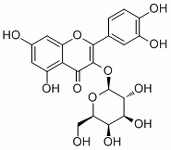 金丝桃苷,Hyperoside