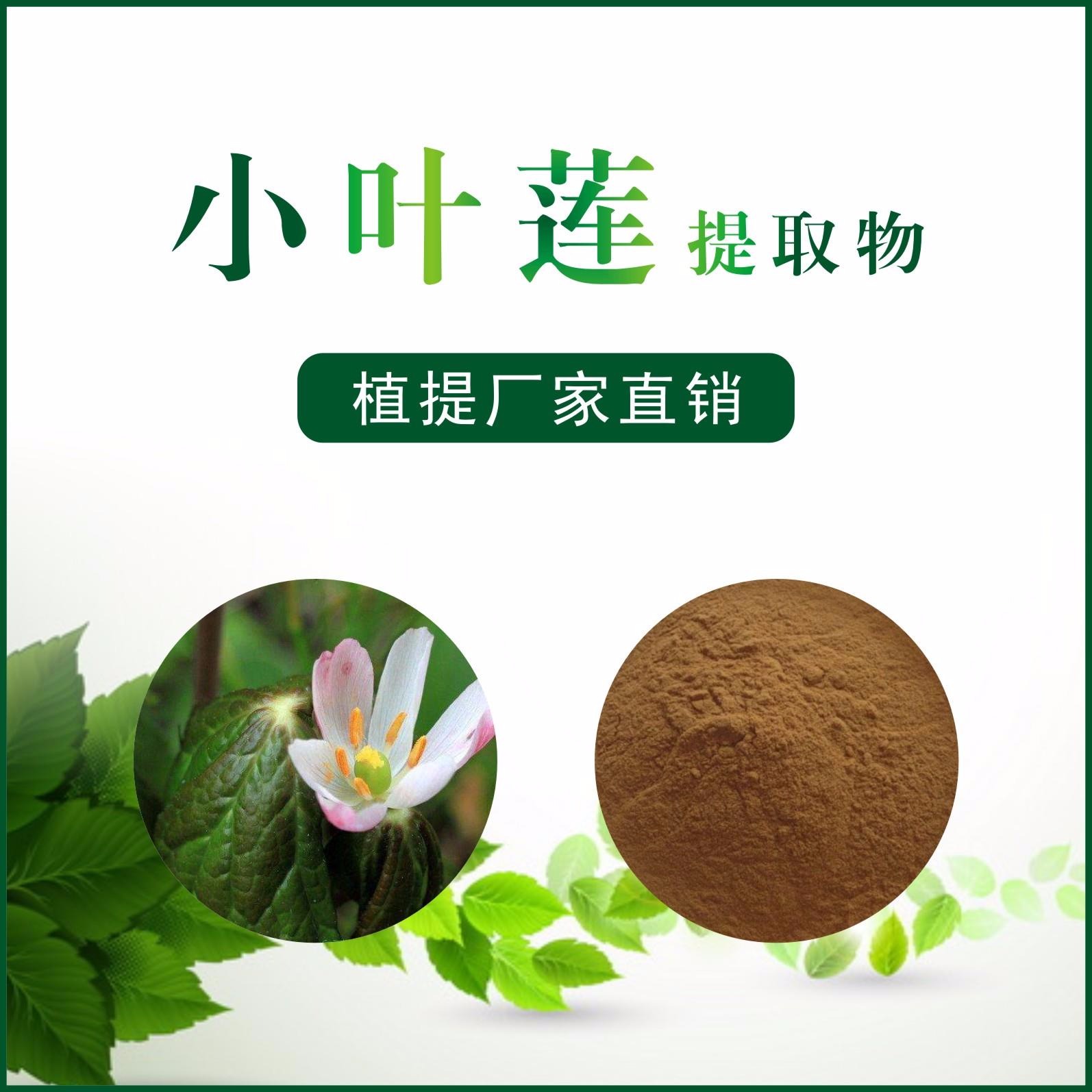 小叶莲提取物,Sinopodophmlli Fructus。