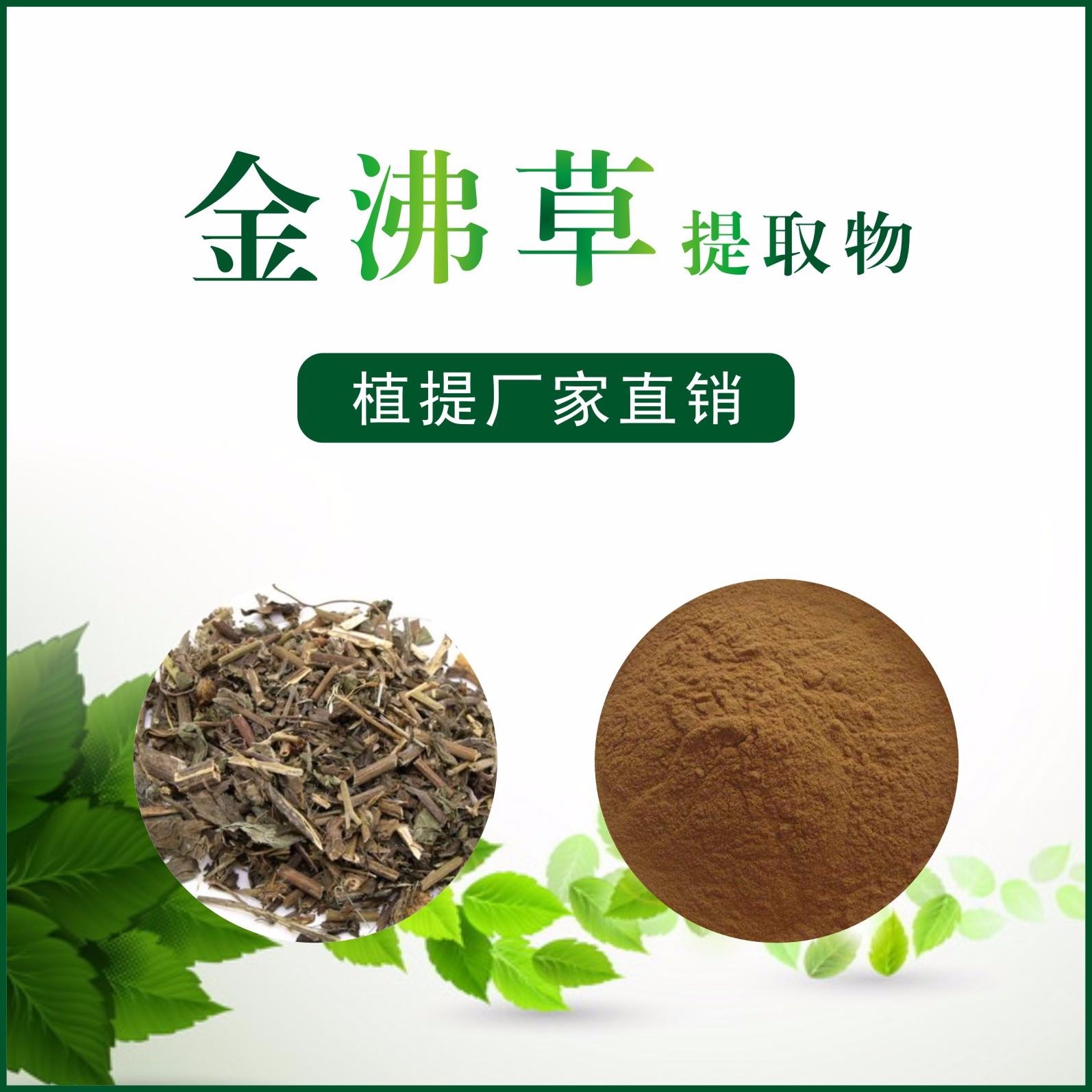 金沸草提取物,Inulae Herba。