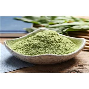 菠菜粉,spinach powder