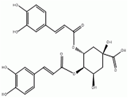 异绿原酸B,Isochlorogenic acid B