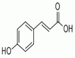 对香豆酸