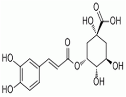 新綠原酸