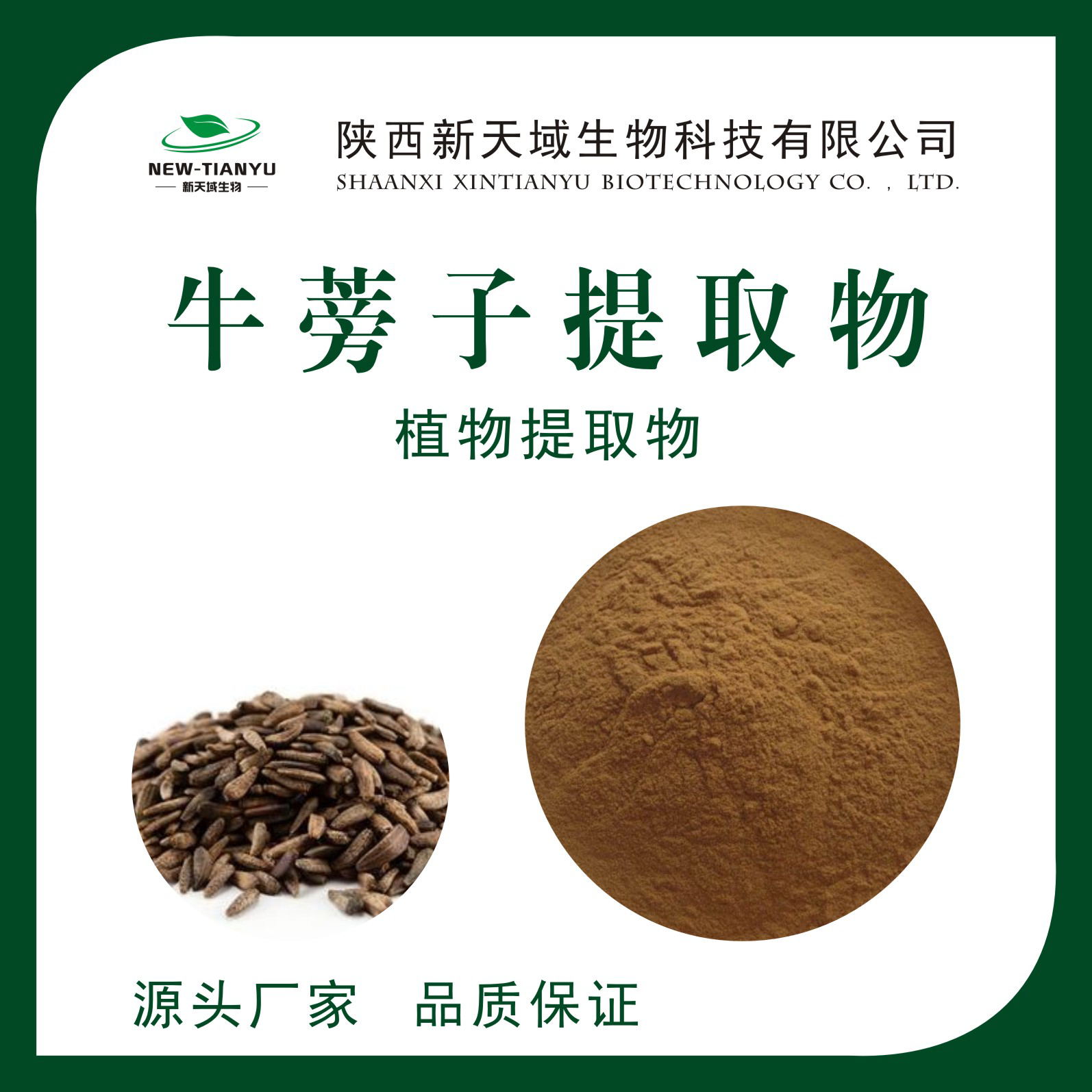 牛蒡子提取物,Arctium lappa extract