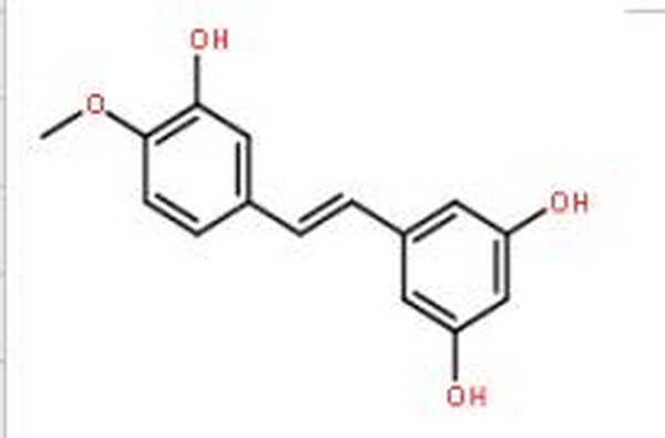 丹叶大黄素,Rhapontigenin