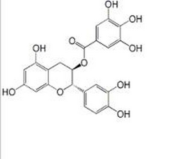 儿茶素没食子酸酯,(-)-Catechin gallate