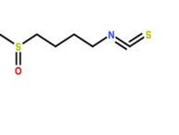 L-萝卜硫素,L-Sulforaphane
