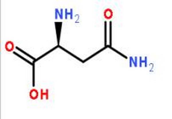 天冬酰胺,L-Asparagine