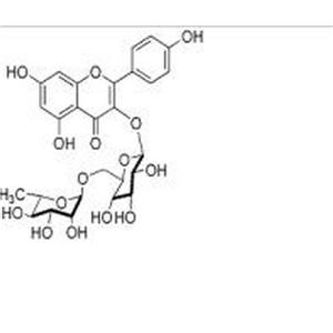 山奈酚-3-O-芸香糖苷,Kaempferol-3-O-rutinoside