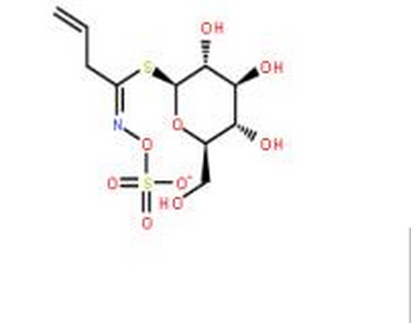 黑芥子硫苷酸钾一水,Sinigrin monohydrate