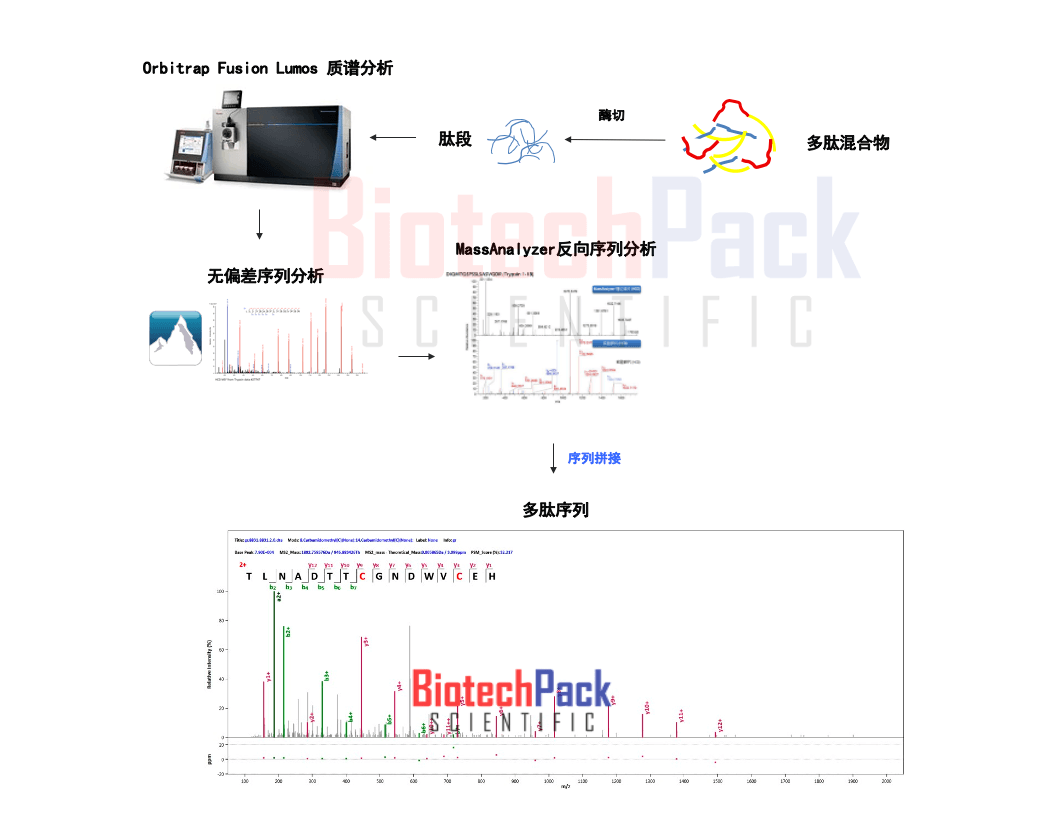 多肽鉴定_质谱分析