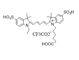 2-[5-[1-(5-羧基戊基)-1,3-二氫-3,3-二甲基-5-磺基-2H-吲哚-2-亞基]-1,3-戊二烯基]-1-乙基-3,3-二甲基-5-磺基-3H-吲哚內(nèi)鹽,cy5