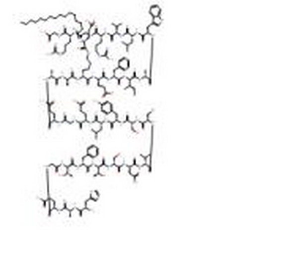 利拉鲁肽,Liraglutide