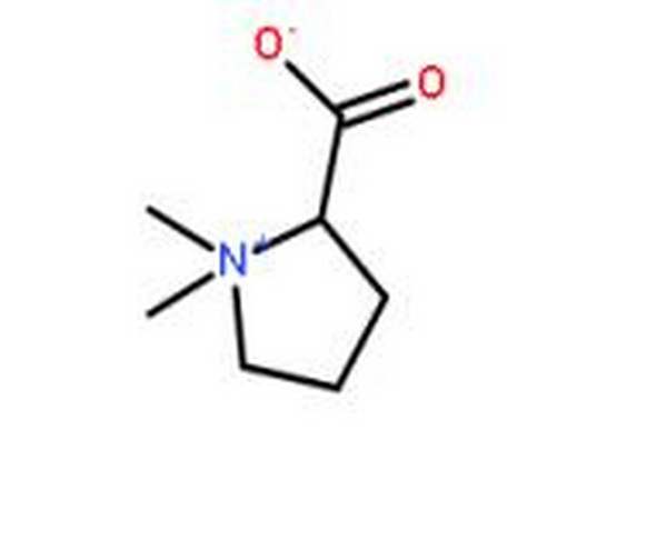 水苏碱,Stachydrine