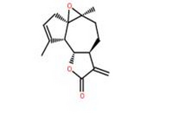 小白菊内酯衍生物,Arglabine