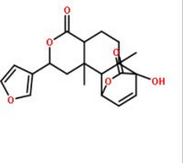 异古伦宾,IsocoluMbin