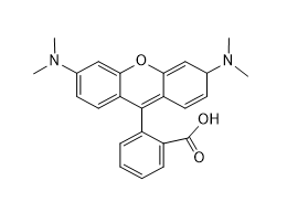 四甲基玫瑰精,Tetramethylrhodamine