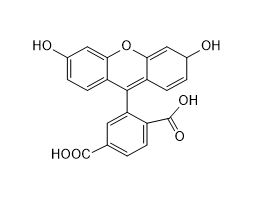 6-FAM,6-Carboxyfluorescein