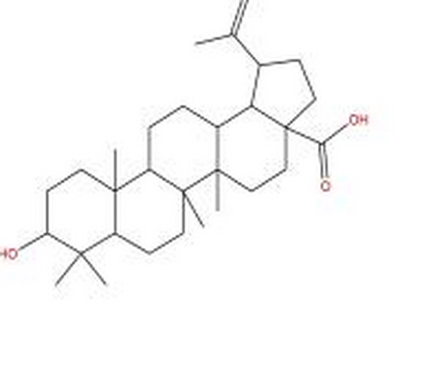 表白桦脂酸,3-Epibetulinic acid