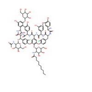 醉替考拉寧,Teicoplanin