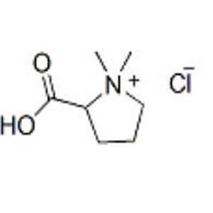 盐酸水苏碱,Stachydrine hydrochloride