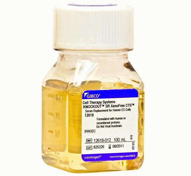 10099-141胎牛血清,Fetal Bovine Serum, qualified