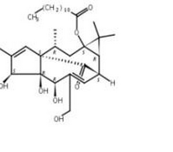 正十二烷酸巨大戟酯,Dodecanoic acid ingenol ester