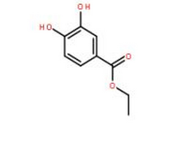 3,4-二羟基苯甲酸乙酯,Ethyl 3,4-dihydroxybenzoate