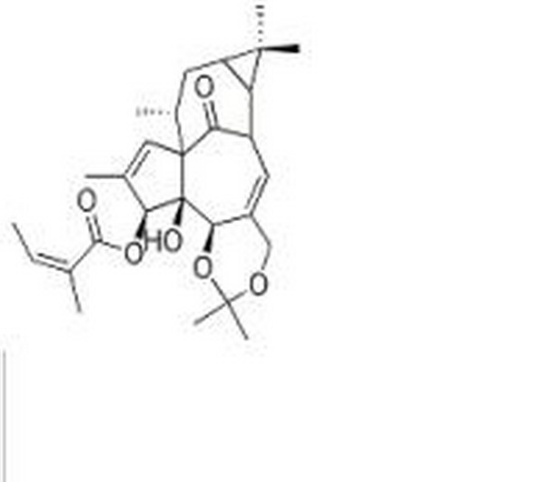 巨大戟醇 5,20-缩丙酮 3-当归酸酯,Ingenol-5,20-acetonide-3-O-angelate