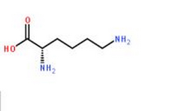 赖氨酸,L-Lysine