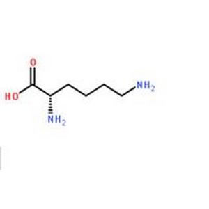 赖氨酸,L-Lysine