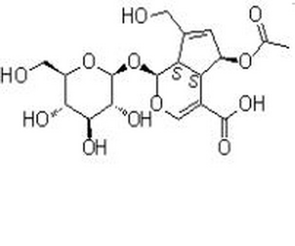 6-O-乙酰鸡屎藤次苷,6-O-Acetylscandoside