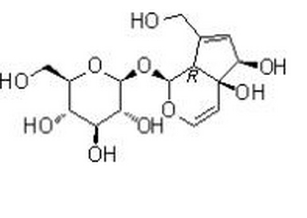 單密力特苷,Monomelittoside