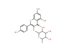 阿福豆苷,KAEMPFEROL 3-O-GLUCORHAMNOSIDE