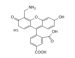 4'-氨甲基-5-羧基熒光素,4'-AMinoMethyl-5-FAM 4'-(Aminomethyl)-3',6'-dihydroxy-3-oxospiro[isobenzofuran-1(3H),9'-[9H]xanthene]-6-carboxylic acid