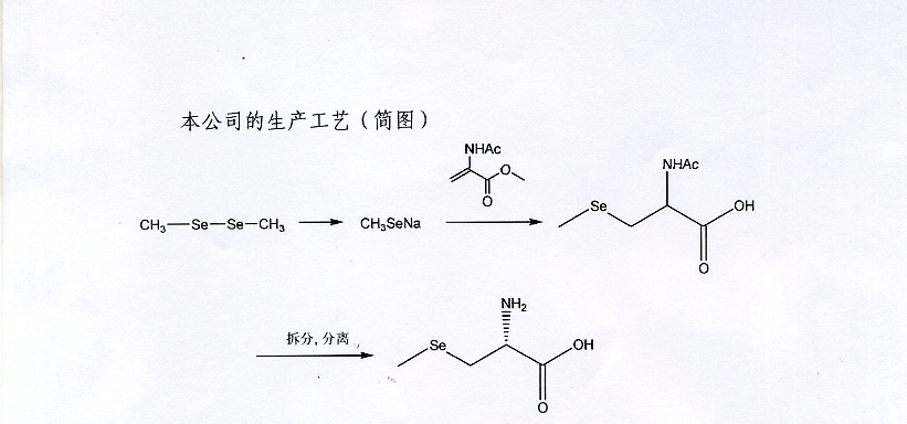 L-硒-甲基硒代半胱氨酸