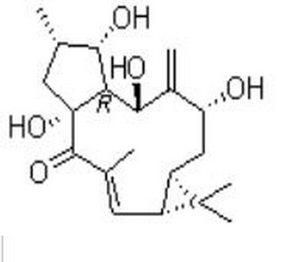 7-羟基千金子二萜醇,7β-Hydroxylathyrol