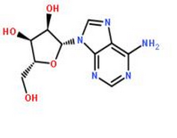 腺苷,Adenosine