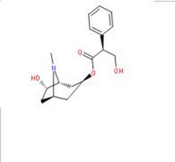 消旋山莨菪碱,Racanisodamine