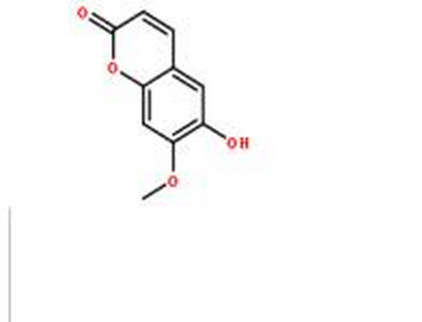 异莨菪亭,Isoscopoletin