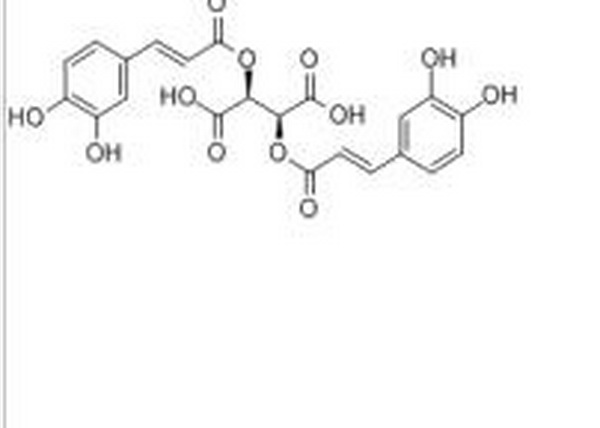 二咖啡酰酒石酸,Cichoric acid