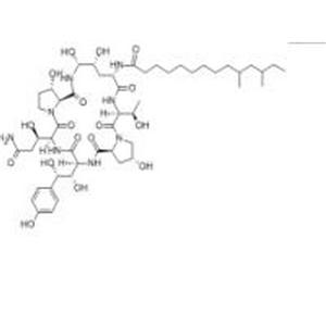 紐莫康定 B0,Pneumocandin B0